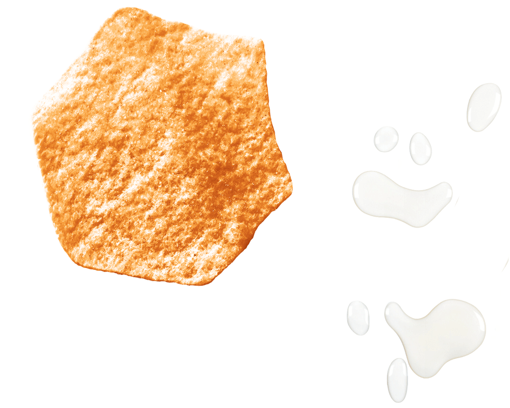 Baked Potato Chips left snack